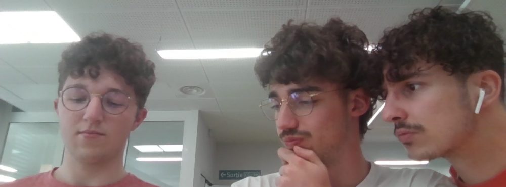 paulinedavid